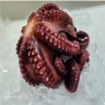 Best Seafood